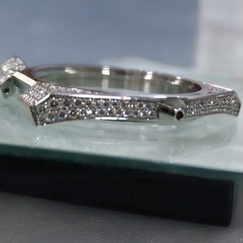 AWC Watch (4)